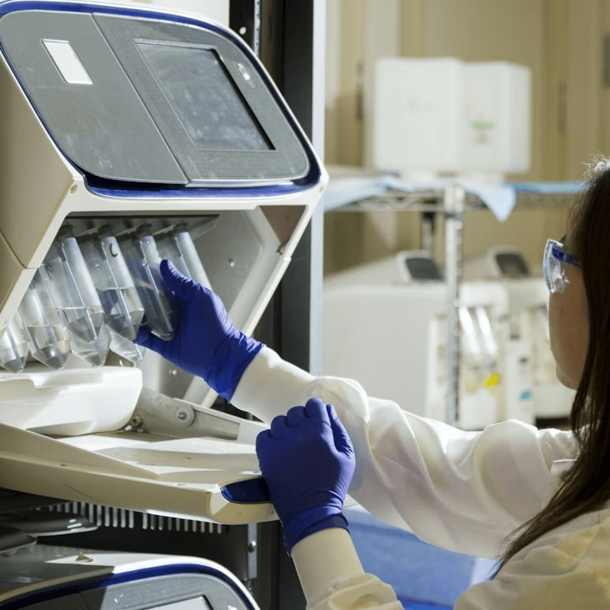 Professional business team collaborating